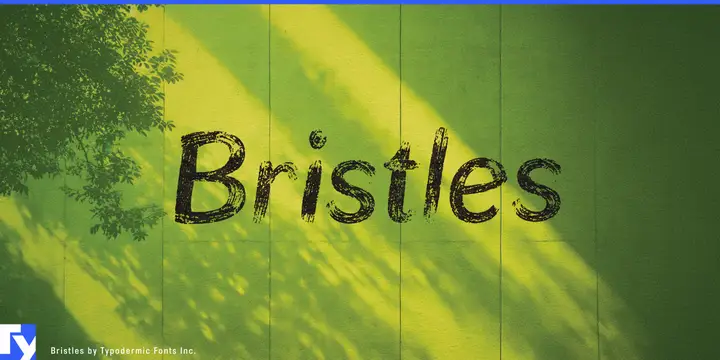Bristles typeface specimen