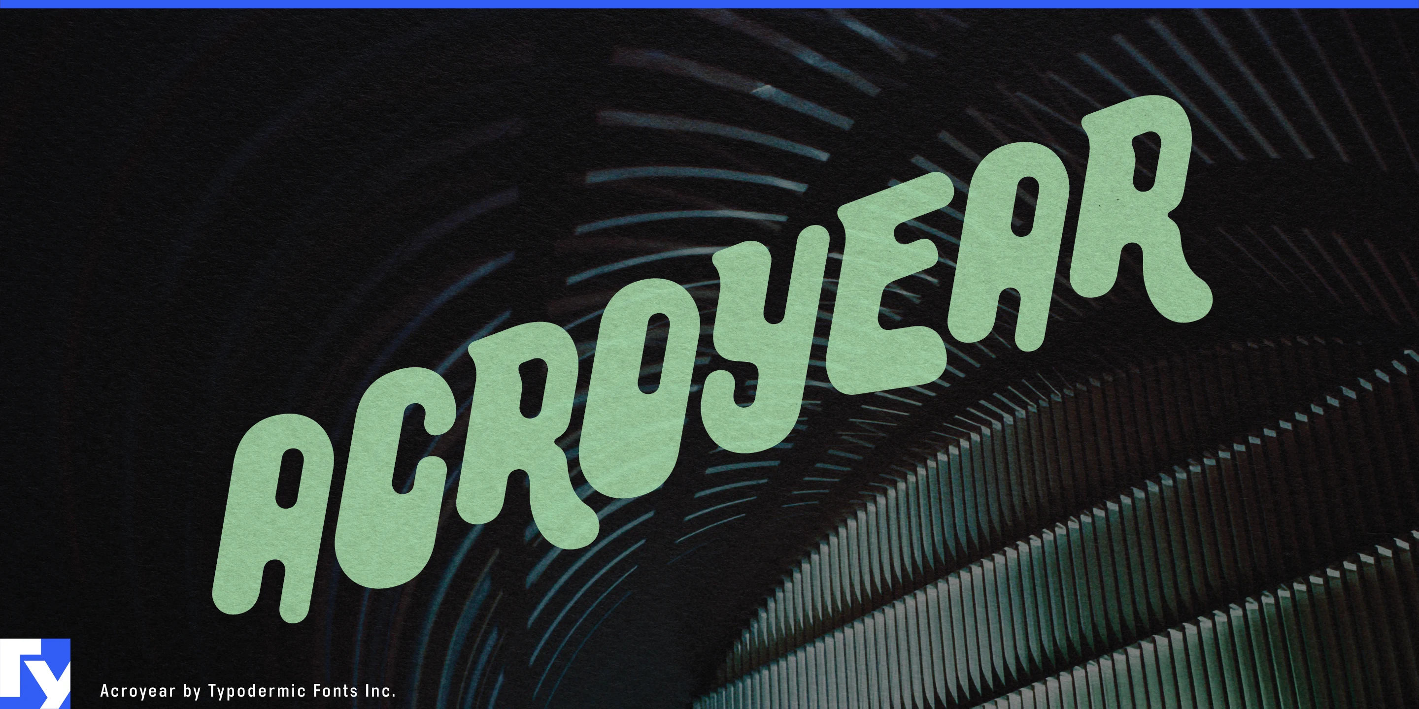 Spécimen 1 de Acroyear