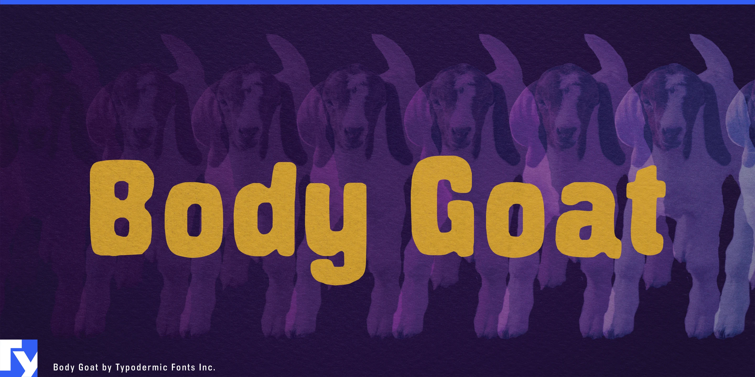 Amostra 1 de Body Goat