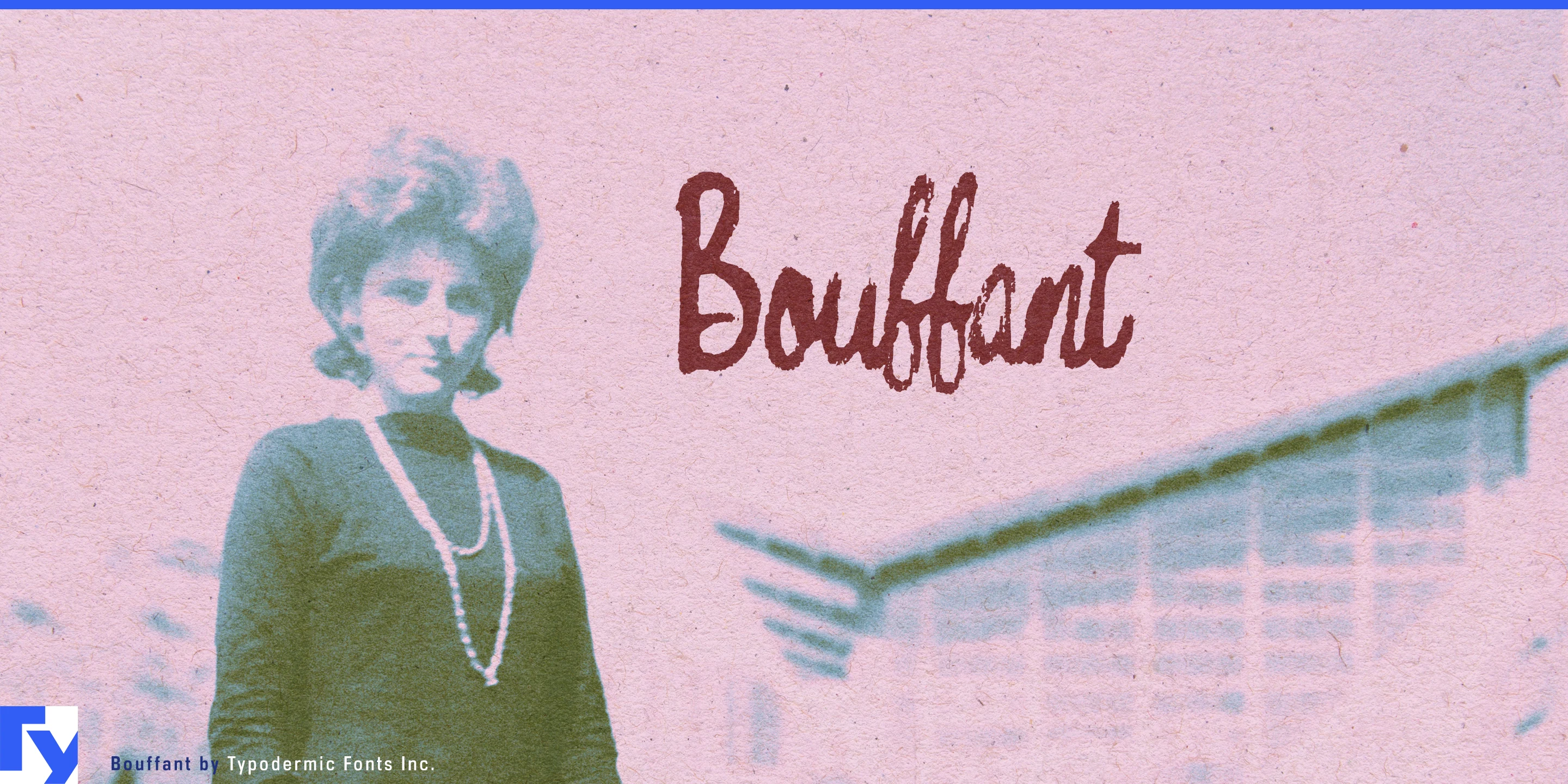Spécimen 1 de Bouffant
