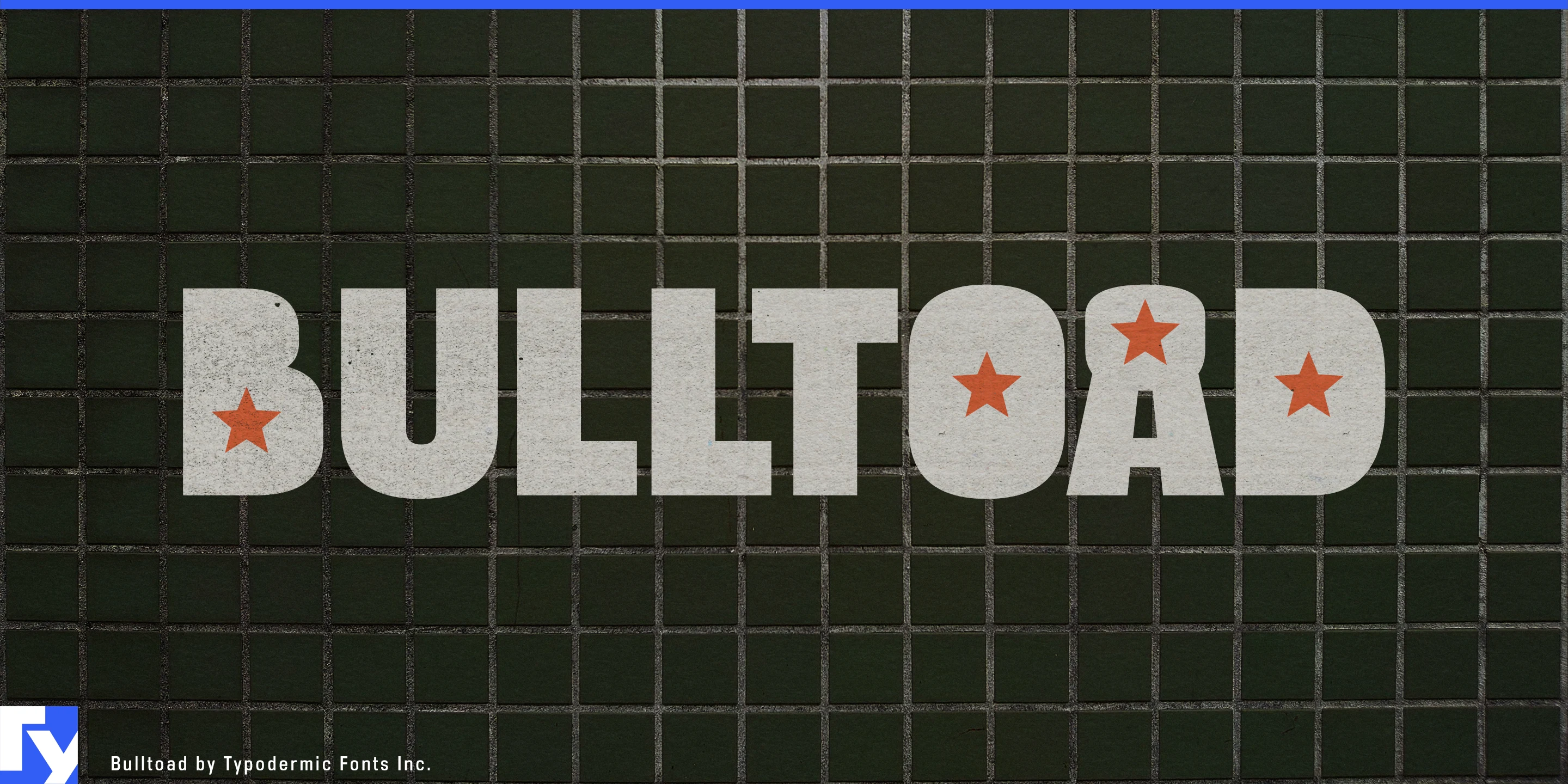 Amostra 1 de Bulltoad