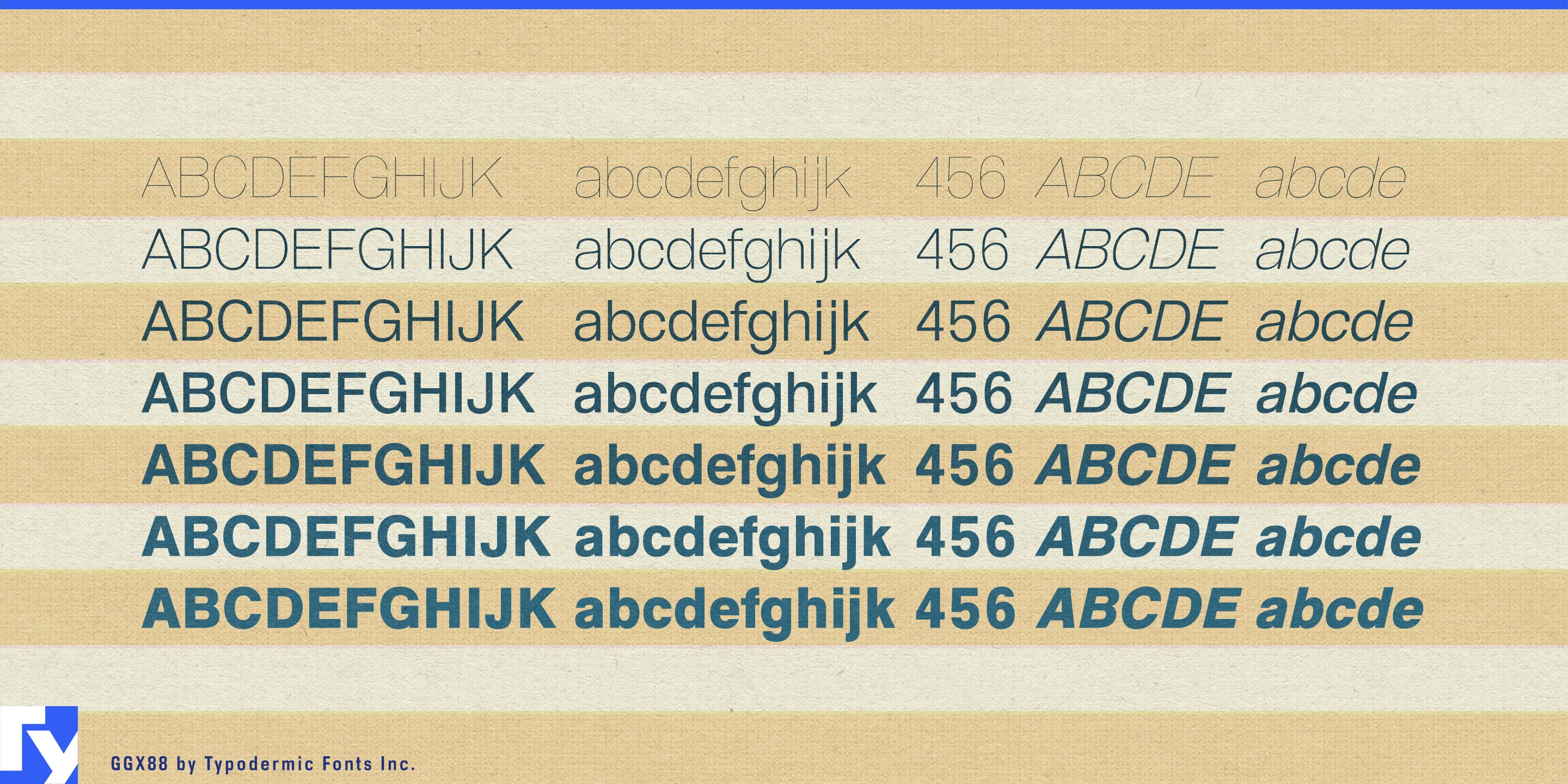 Ggx88 specimen 4