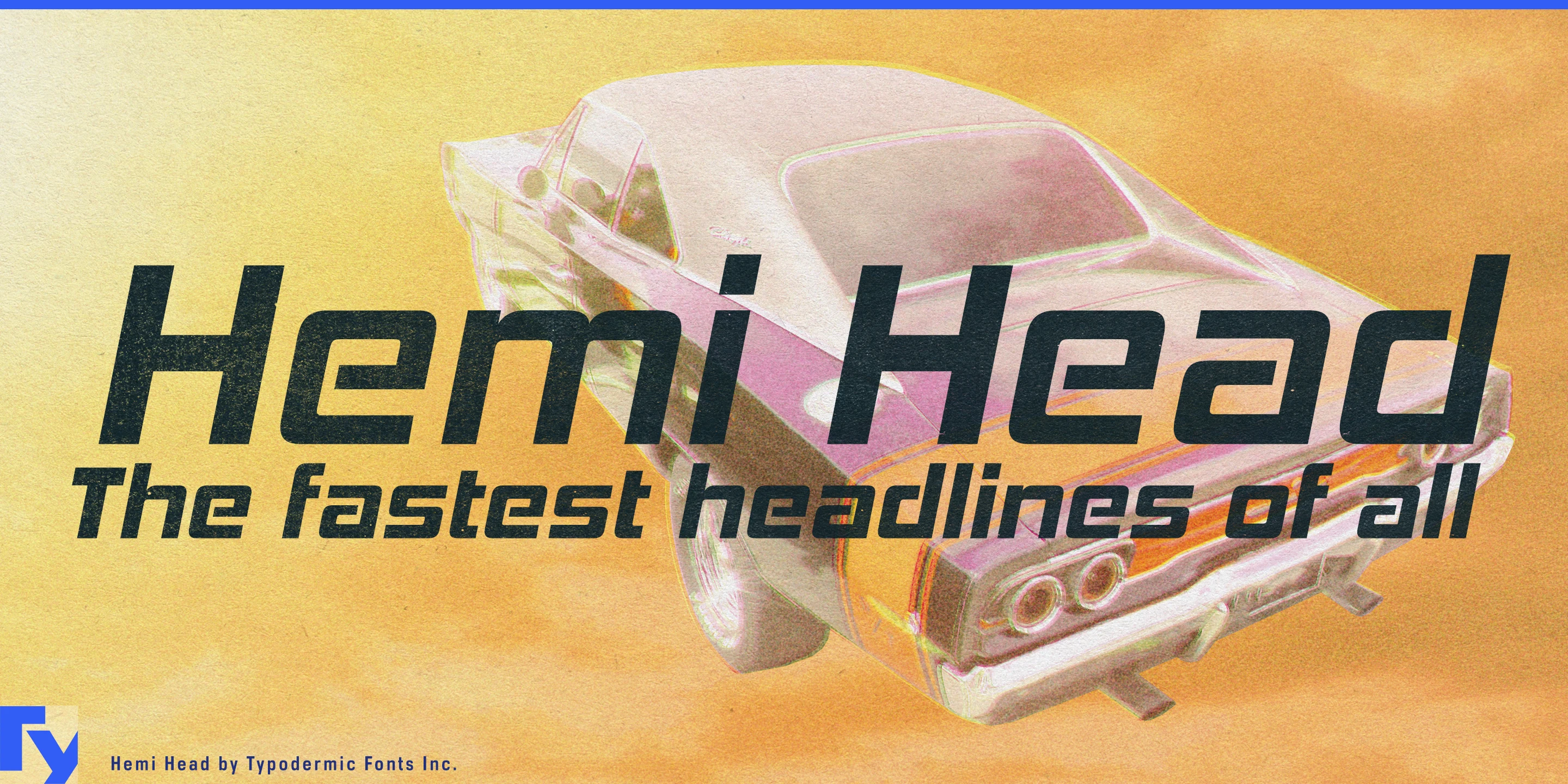 Spécimen 1 de Hemi Head