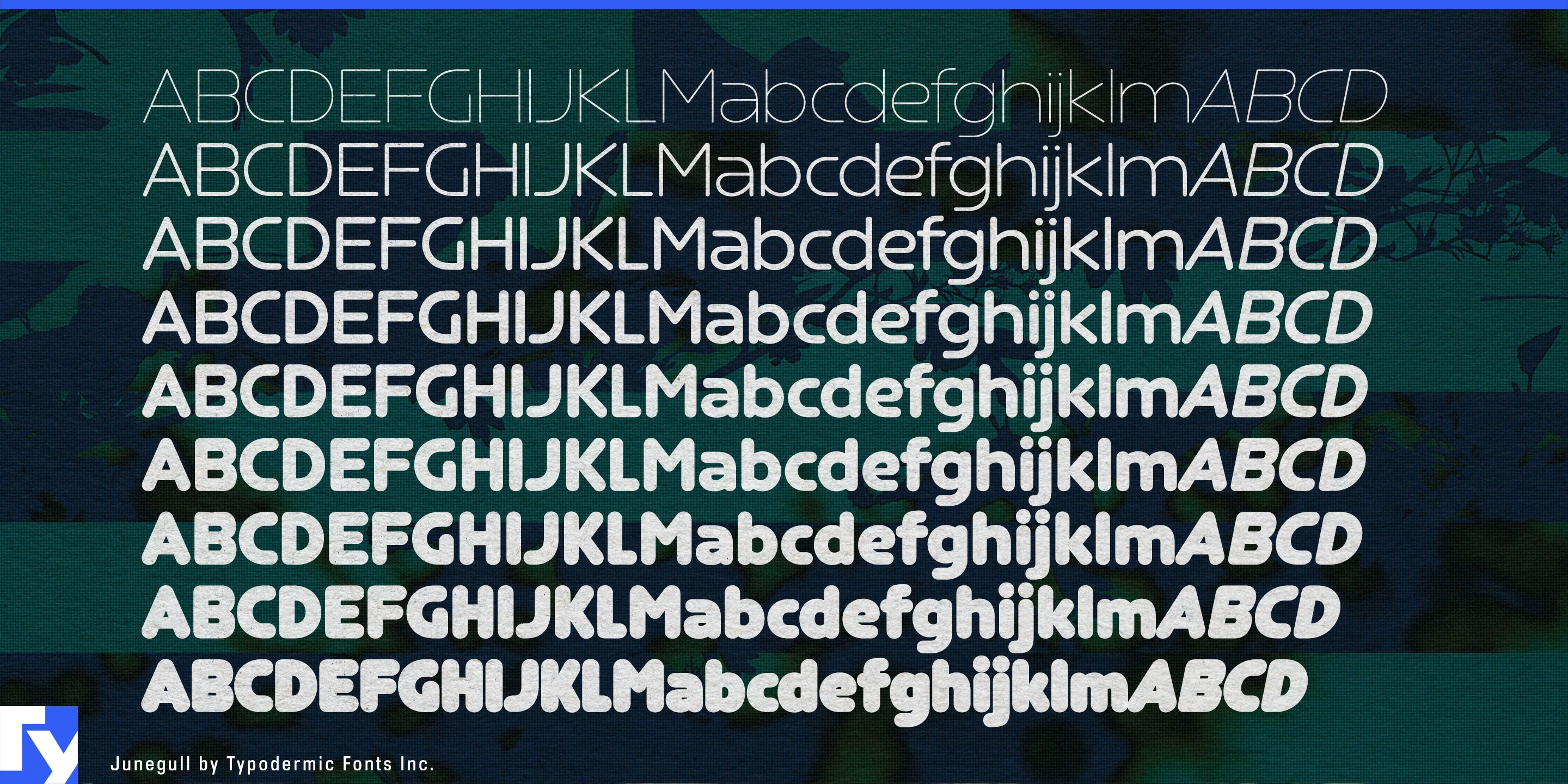 Schriftmuster 4 von Junegull