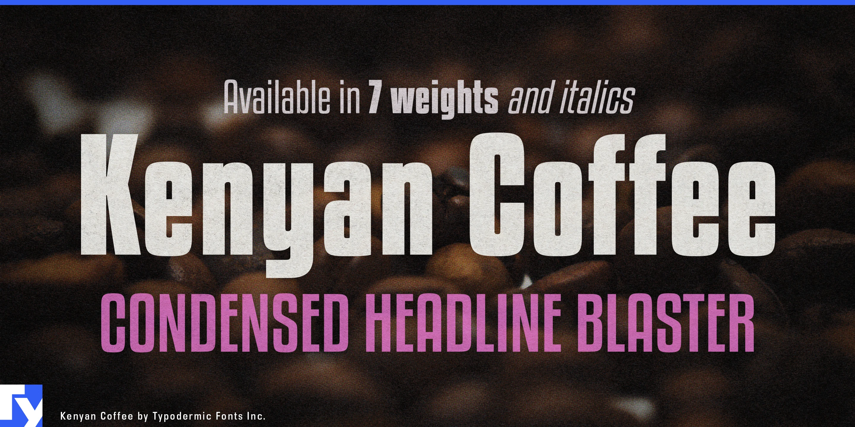 Spécimen 1 de Kenyan Coffee