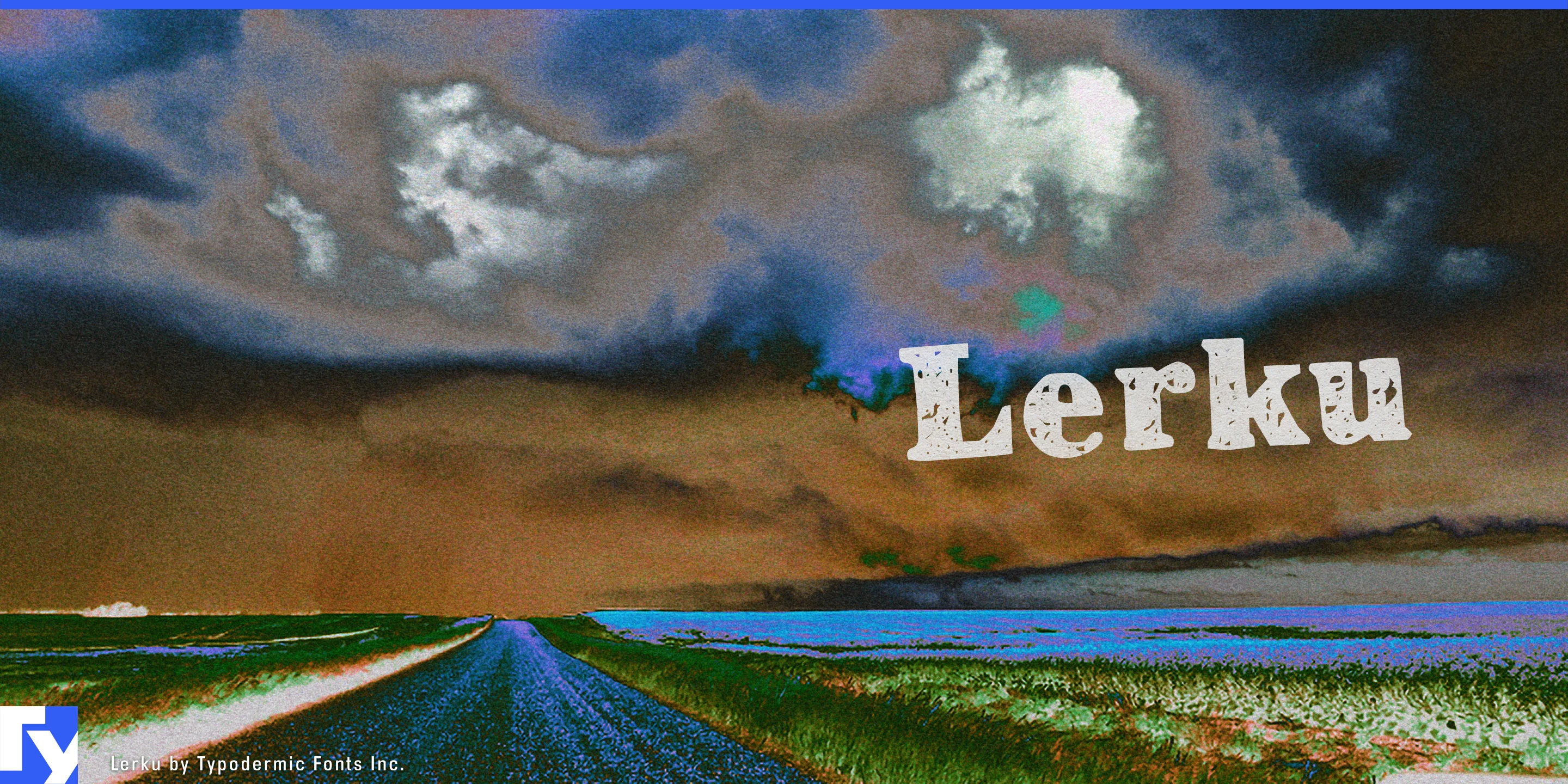 Spécimen 1 de Lerku