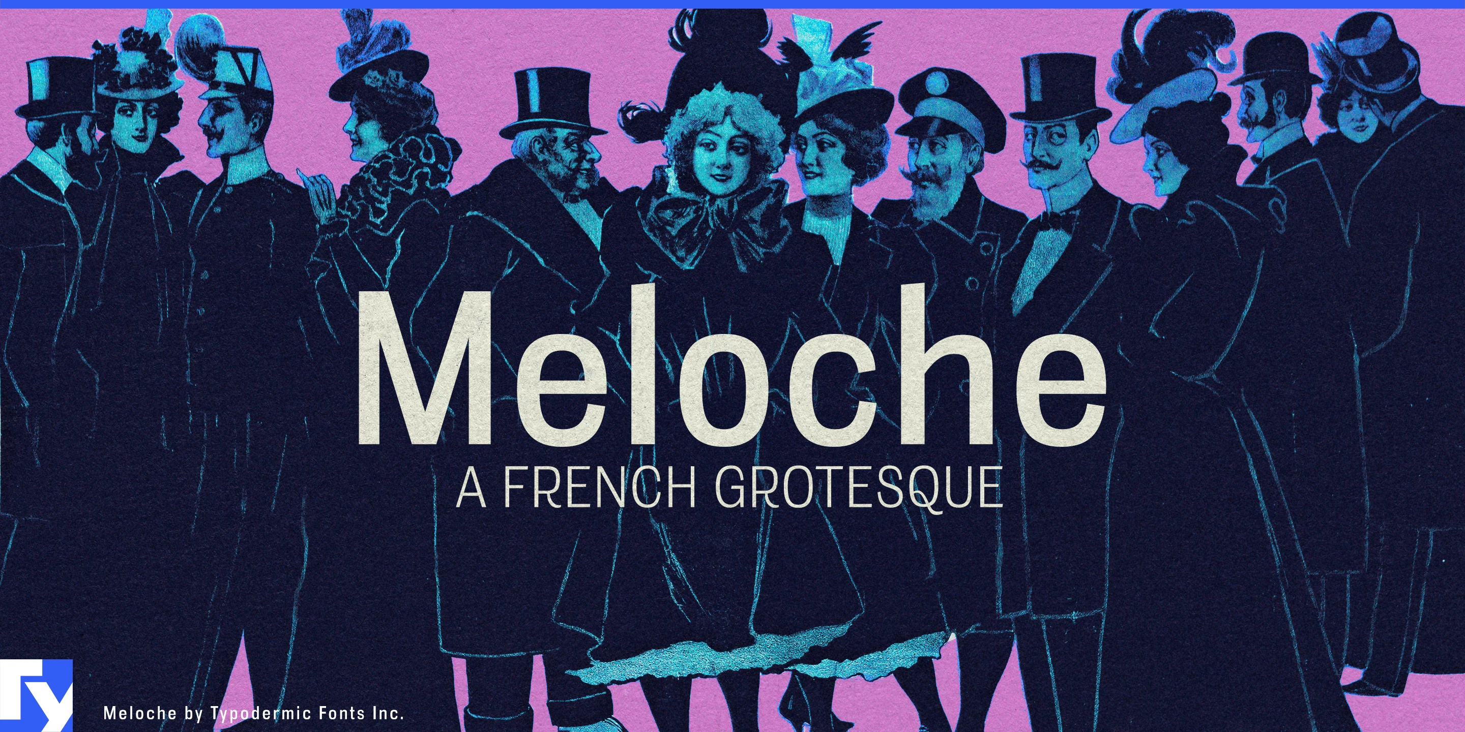 Spécimen 1 de Meloche