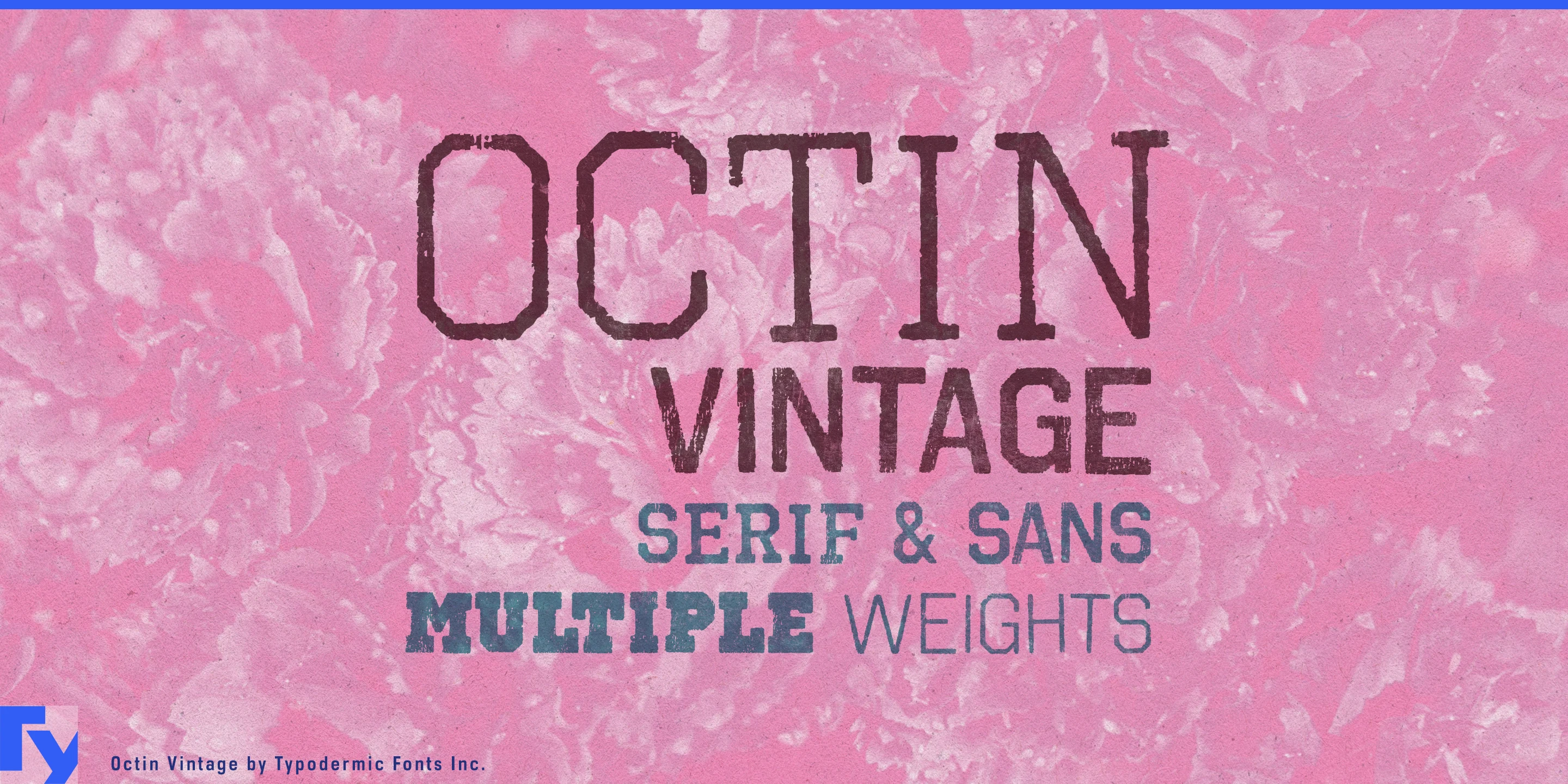 Spécimen 1 de Octin Vintage