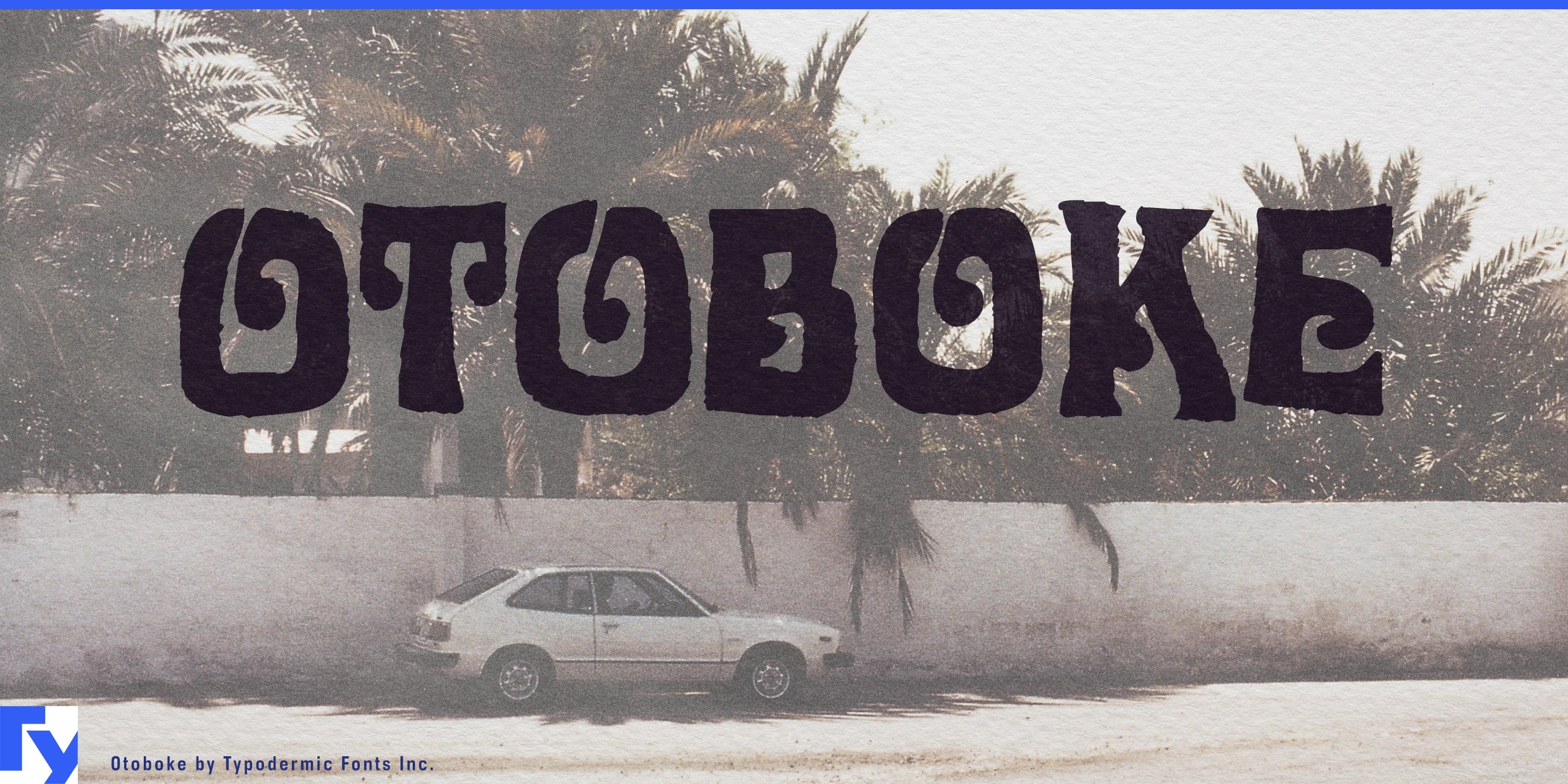 Spécimen 1 de Otoboke
