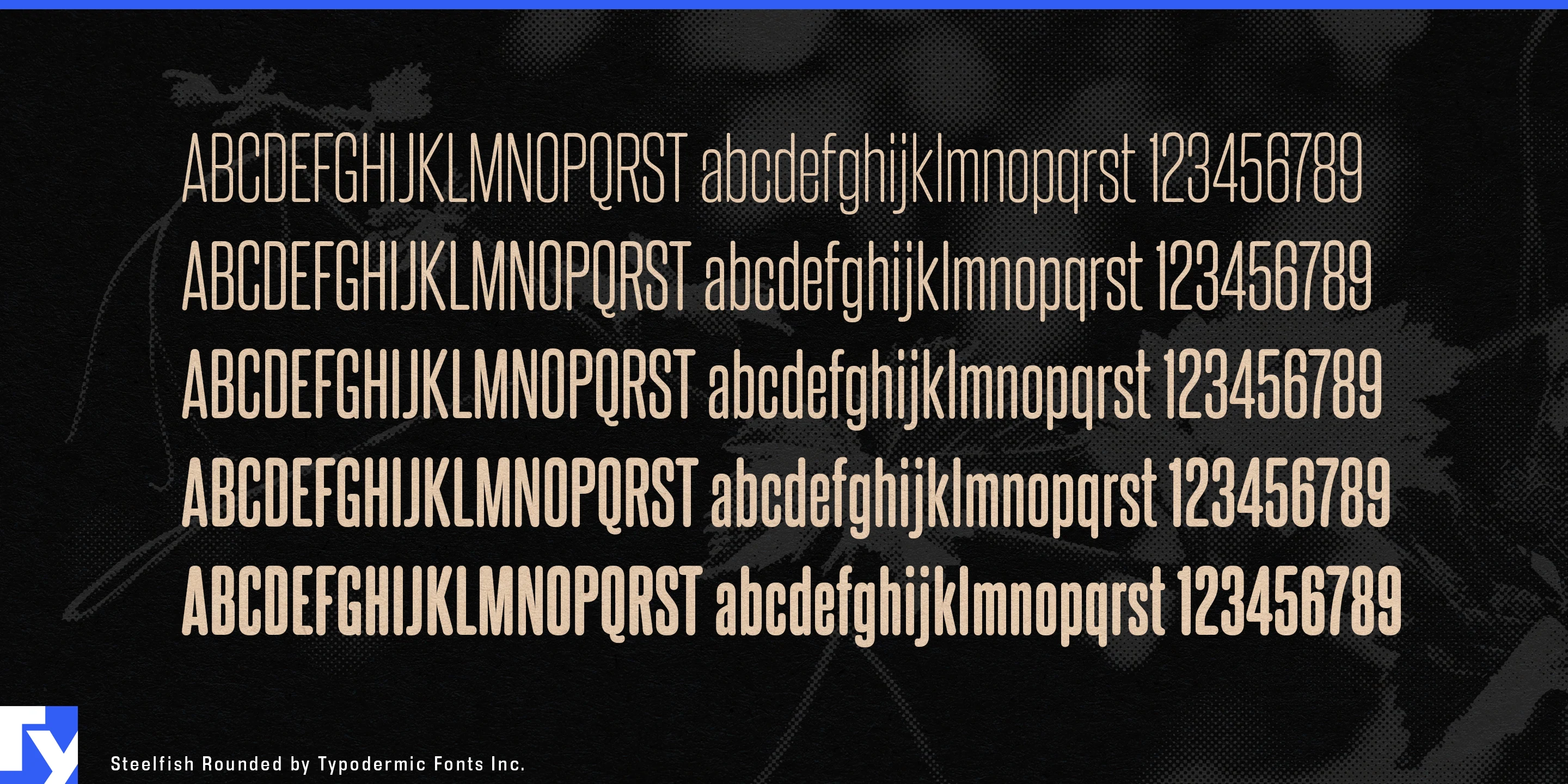 Schriftmuster 4 von Steelfish Rounded