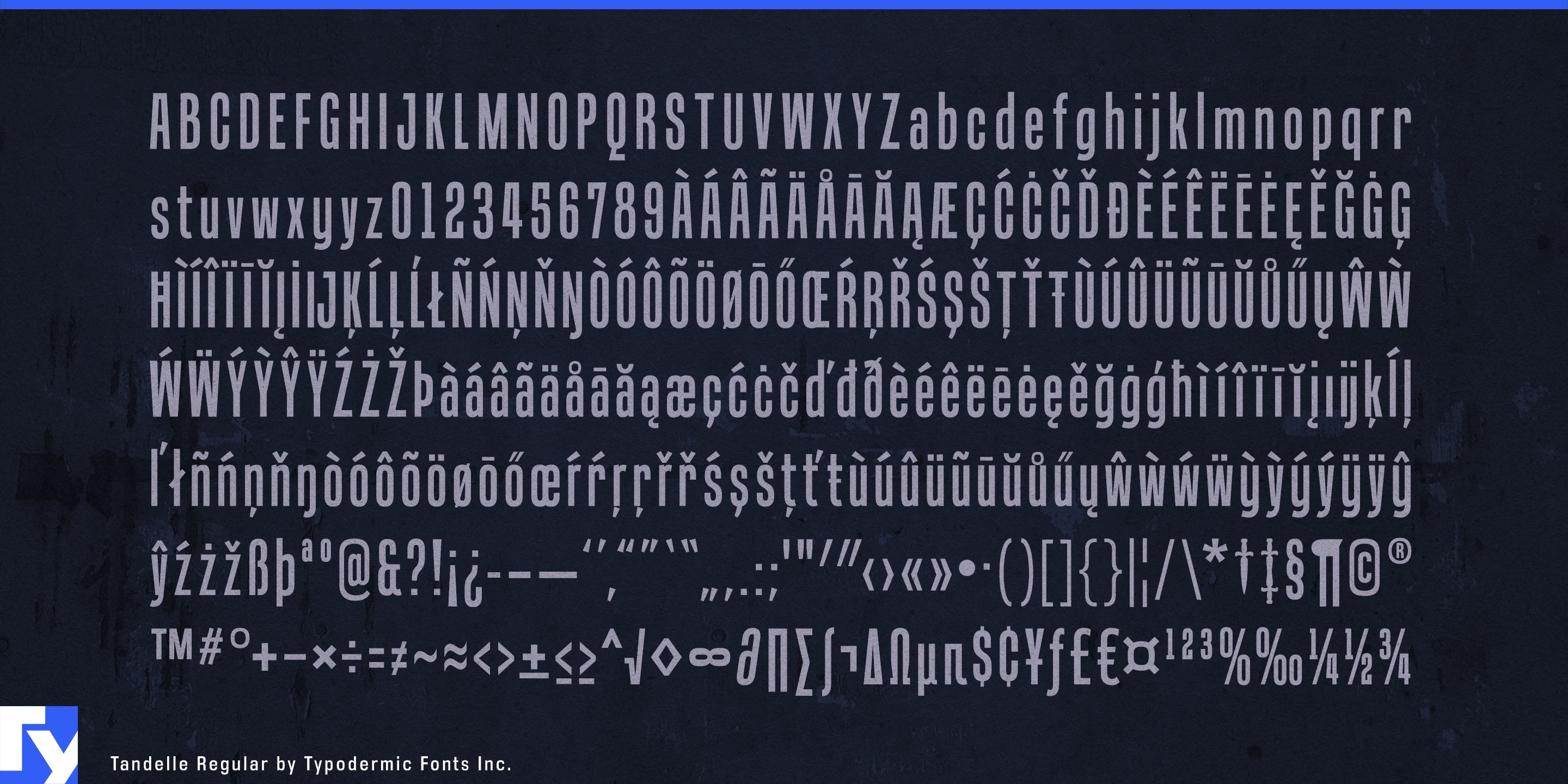 Tandelle specimen 5