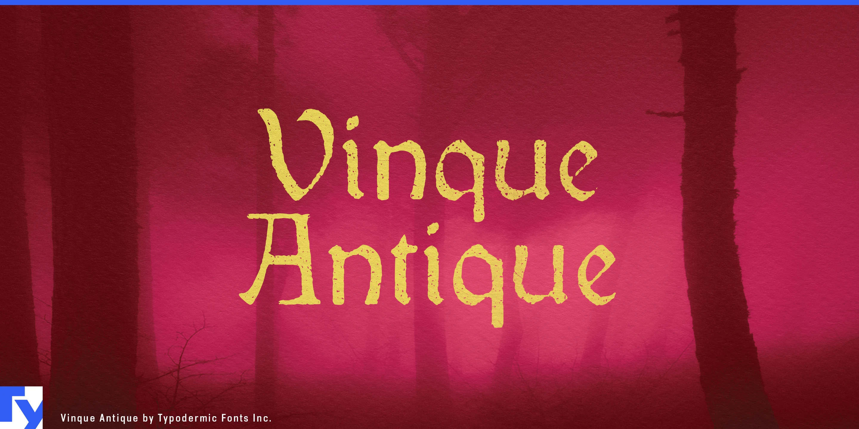 Vinque Antique specimen 1