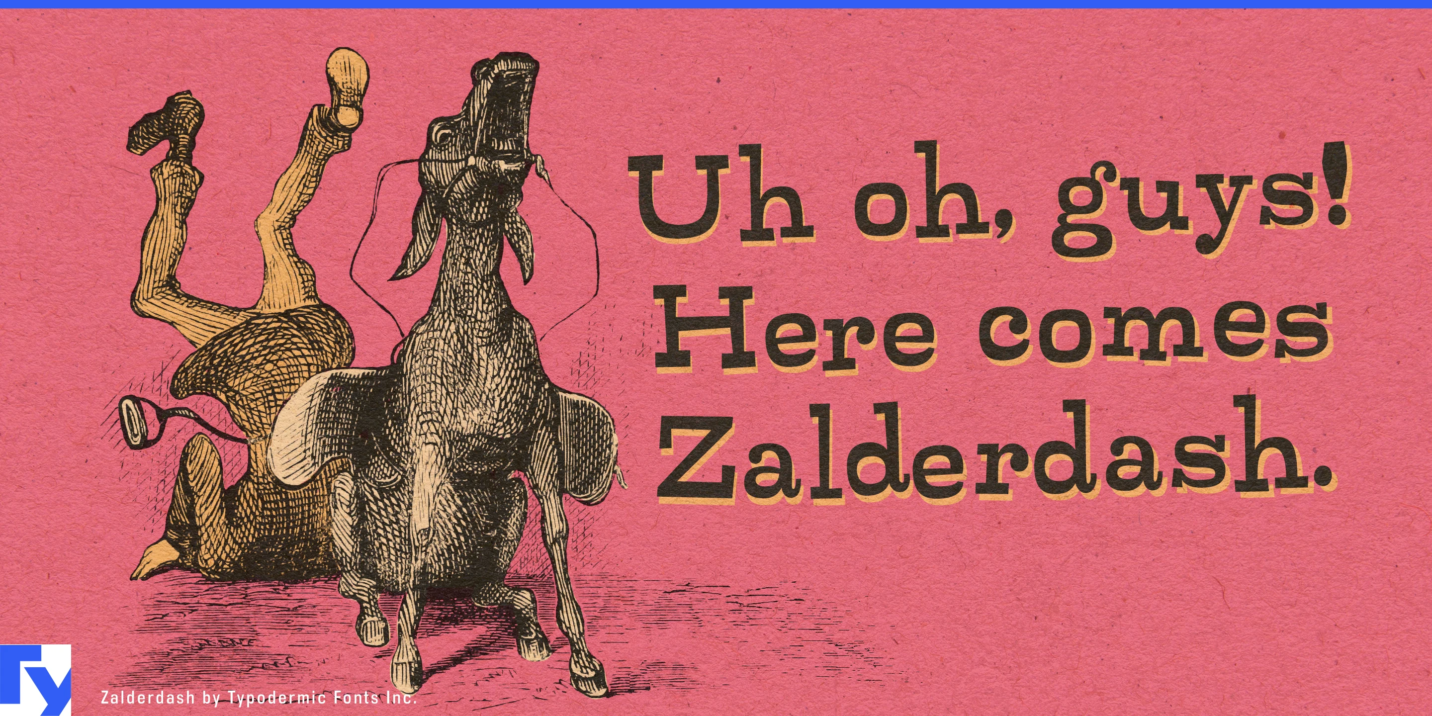 Schriftmuster 1 von Zalderdash